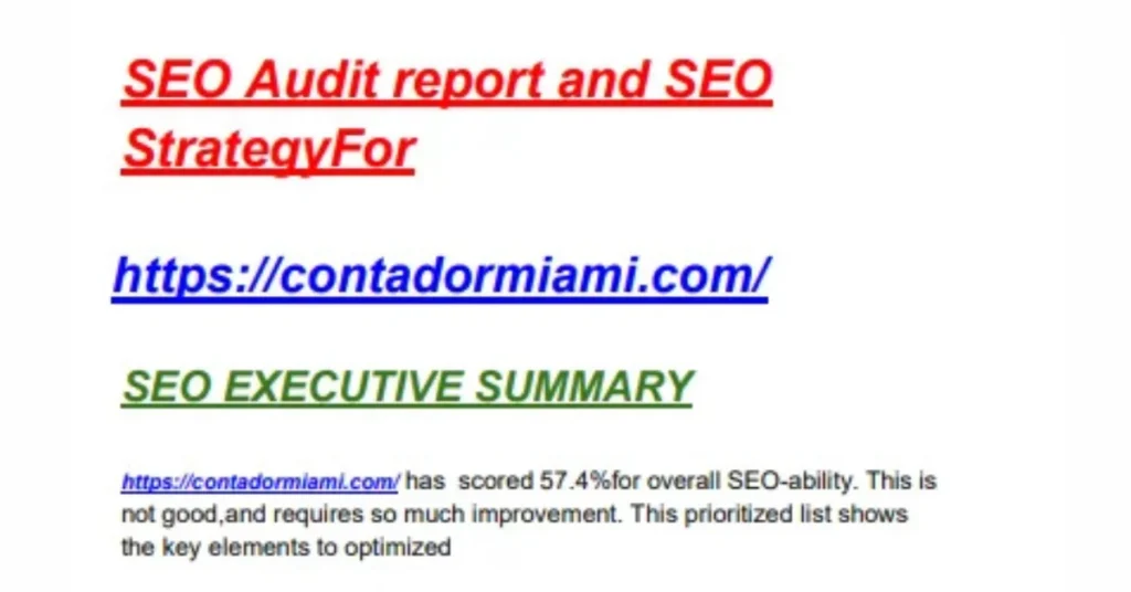 Website Audit